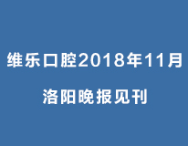 洛阳晚报 11月20日 A11  1/4版